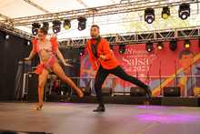 Mundial de Salsa, un escenario de inclusi&oacute;n