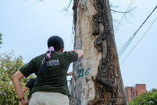 Llamado a cuidar el patrimonio natural