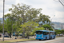 Llamado a cuidar el patrimonio natural