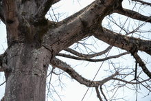 Llamado a cuidar el patrimonio natural