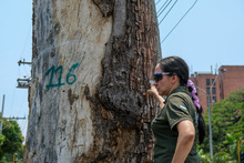 Llamado a cuidar el patrimonio natural