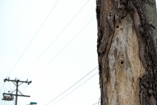 Llamado a cuidar el patrimonio natural