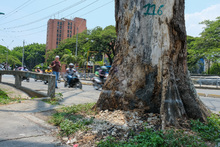 Llamado a cuidar el patrimonio natural