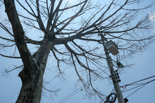 Llamado a cuidar el patrimonio natural