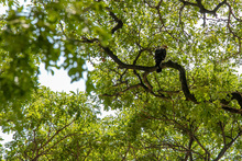 Funcionarios del Dagma inspeccionaron en detalle obras del &lsquo;Parque Tecnol&oacute;gico de Innovaci&oacute;n San Fernando&rsquo;