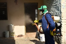 N&uacute;mero de casos de dengue en Cali ha crecido cinco veces desde mayo