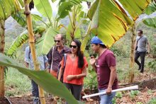 Galer&iacute;a principal