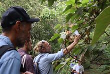 Galer&iacute;a principal