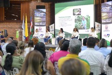 Galer&iacute;a principal