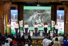 Galer&iacute;a principal