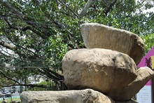 Carpa Cali Educa abri&oacute; actividades con libro sobre relatos de misterios y aventuras