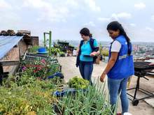 15 de octubre, una oportunidad para reconocer el liderazgo de las mujeres rurales