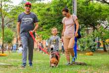 Los habitantes del norte de Cali también gozan la variada oferta en la Ciclo vida 3
