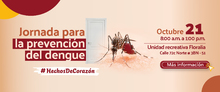 HomeWeb_JornadaDengue