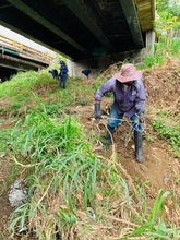 Dagma realiz&oacute; mantenimiento arb&oacute;reo en jornada de prevenci&oacute;n contra el dengue 