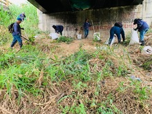 Dagma realiz&oacute; mantenimiento arb&oacute;reo en jornada de prevenci&oacute;n contra el dengue 