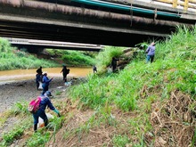 Dagma realiz&oacute; mantenimiento arb&oacute;reo en jornada de prevenci&oacute;n contra el dengue 