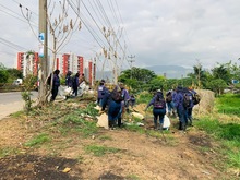 Dagma realiz&oacute; mantenimiento arb&oacute;reo en jornada de prevenci&oacute;n contra el dengue 