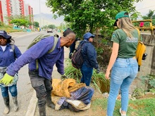 Dagma realiz&oacute; mantenimiento arb&oacute;reo en jornada de prevenci&oacute;n contra el dengue 