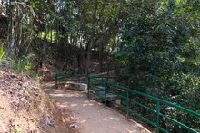 Dagma sigue brindando a la comunidad espacios con ambientes aptos para el disfrute