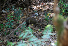 Dagma sigue brindando a la comunidad espacios con ambientes aptos para el disfrute