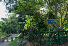 Dagma sigue brindando a la comunidad espacios con ambientes aptos para el disfrute