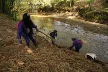 Extraen 2035 metros c&uacute;bicos de residuos de r&iacute;os y quebradas en Cali