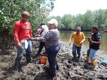 Ganadores del &lsquo;Aut&eacute;ntico Sabor Cale&ntilde;o&rsquo; exploran la faena de piangua en Tumaco