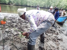 Ganadores del &lsquo;Aut&eacute;ntico Sabor Cale&ntilde;o&rsquo; exploran la faena de piangua en Tumaco