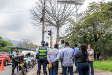 Dos d&iacute;as tardar&aacute; la tala de ceiba en la calle quinta