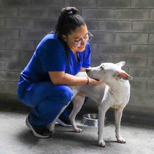 Pandora est&aacute; lista para ser amada y protegida en un nuevo hoga