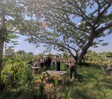 El Jarill&oacute;n de Cali un tema universitario