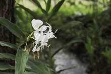 La Unidad de Bienes y Servicios celebra el cierre del cuatrienio con la entrega de 705.000 m2 de zonas verdes