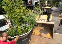 Alcald&iacute;a recupera espacio p&uacute;blico en la zona del Parque del Perro