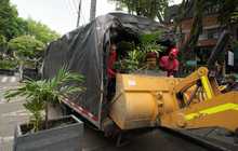 Alcald&iacute;a recupera espacio p&uacute;blico en la zona del Parque del Perro