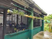 Jard&iacute;n colgante biotecnol&oacute;gico, la novedad en la feria de la ciencia y el arte de la Instituci&oacute;n Santo Tom&aacute;s