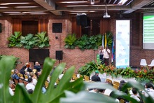 Reducir la deforestaci&oacute;n en el Pac&iacute;fico es una tarea de todos