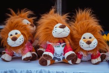 Los 40 a&ntilde;os de la Ciclovida se celebraron con Ciclovida Run 10K