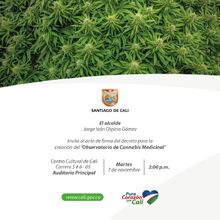 Ma&ntilde;ana, firma del Decreto que crea Observatorio sobre cannabis medicinal