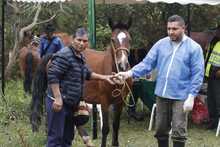Pe&ntilde;as Blancas, un territorio donde suceden &lsquo;Hechos de Coraz&oacute;n&rsquo;