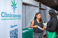 Cali, primera ciudad colombiana en tener Observatorio de Cannabis Medicinal
