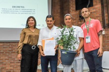 Cali, primera ciudad colombiana en tener Observatorio de Cannabis Medicinal