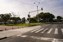 Cali le cumpli&oacute; al D&iacute;a sin Carro y sin Moto; autoridades entregaron balance positivo