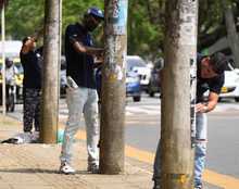 Autoridades de Cali impondr&aacute;n sanciones por incumplimiento de normativa de publicidad exterior visual