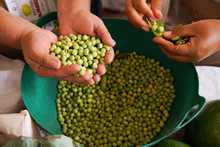 Productores de la ruralidad se encontraron en el &lsquo;Mercado Campesino&rsquo;