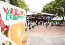 Productores de la ruralidad se encontraron en el &lsquo;Mercado Campesino&rsquo;