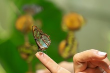 Cali presenta en Puerto Rico su amplia y variada oferta tur&iacute;stica