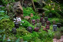 La Leonera se sacudi&oacute; la melena