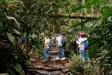 La Leonera se sacudi&oacute; la melena