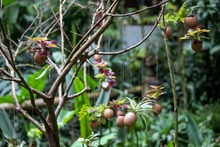 La Leonera se sacudi&oacute; la melena